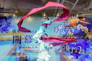 两岸非遗文化活动 木偶戏表演